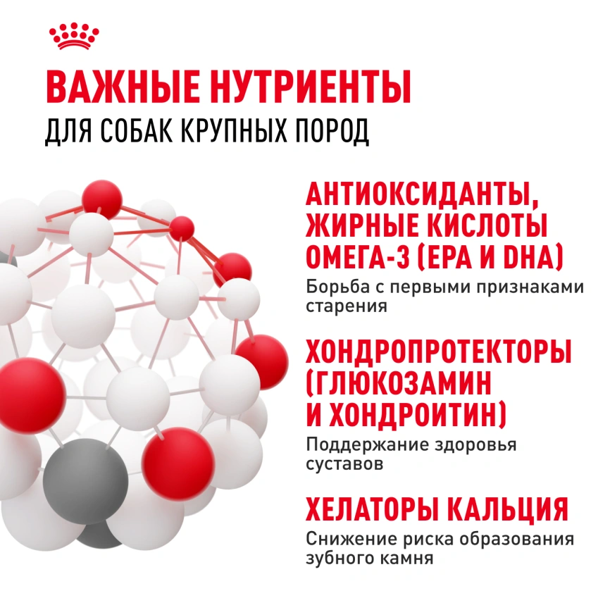 Сухой корм Royal Canin Maxi Adult 5+ для собак, 4 кг фото 5