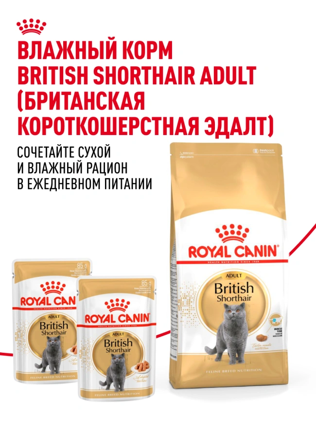 Сухой корм Royal Canin British Shorthair для кошек породы британская короткошерстная, 10 кг фото 27