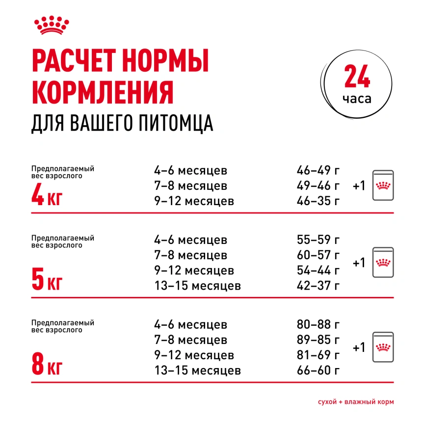 Сухой корм Royal Canin Kitten Maine Coon для котят, 10 кг фото 10
