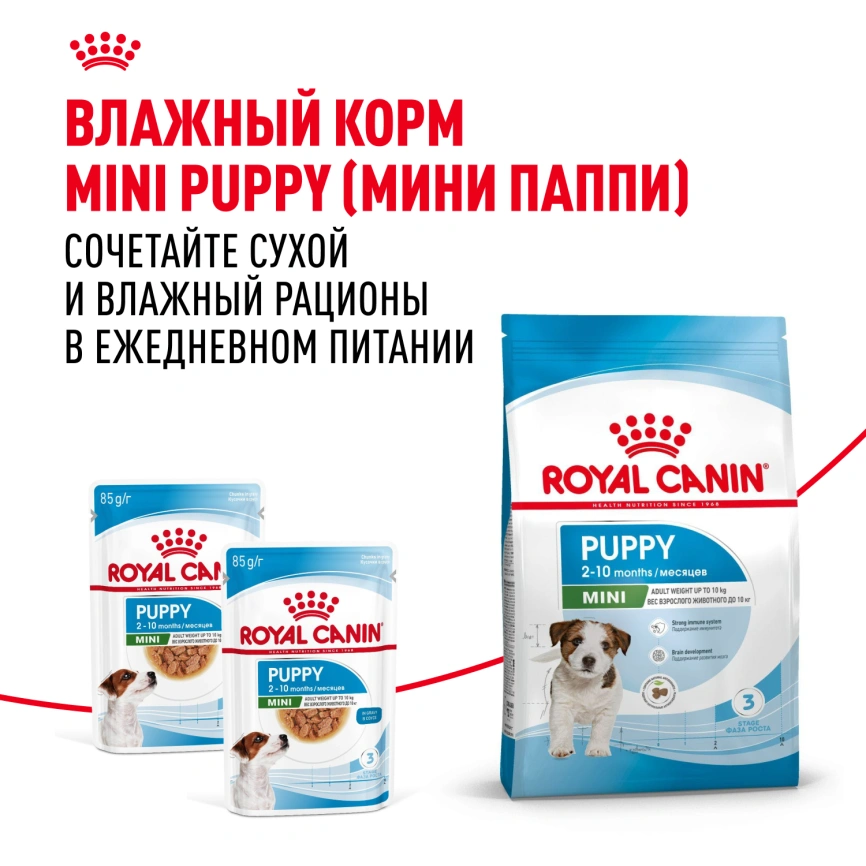 Сухой корм Royal Canin Mini Puppy для щенков, 2 кг фото 8