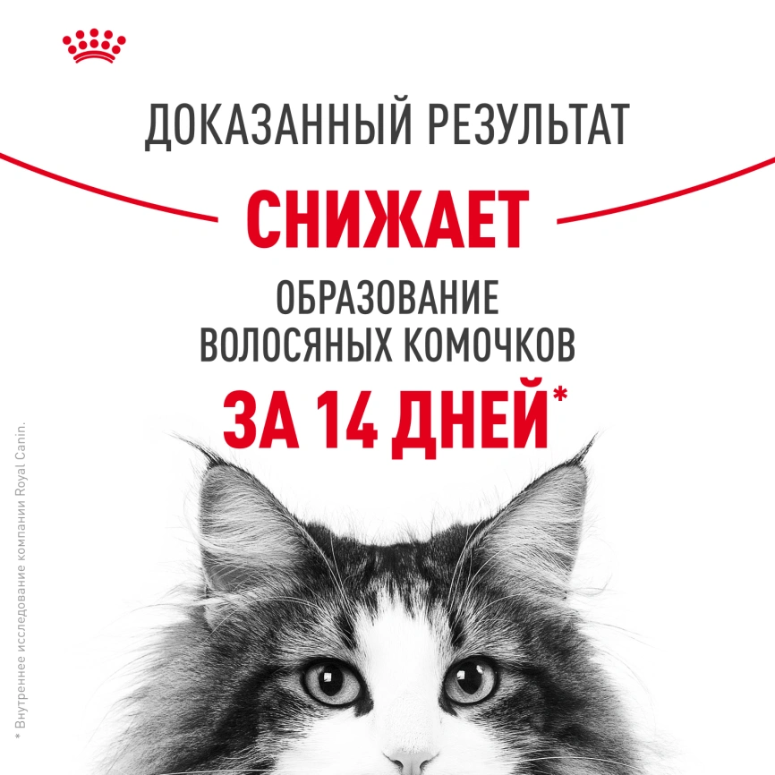 Сухой корм Royal Canin Hairball Care для кошек, 10 кг фото 11