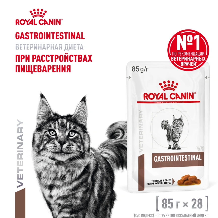 Влажный корм Royal Canin Gastrointestinal диетический для кошек при расстройствах пищеварения, пауч, 85 г фото 11