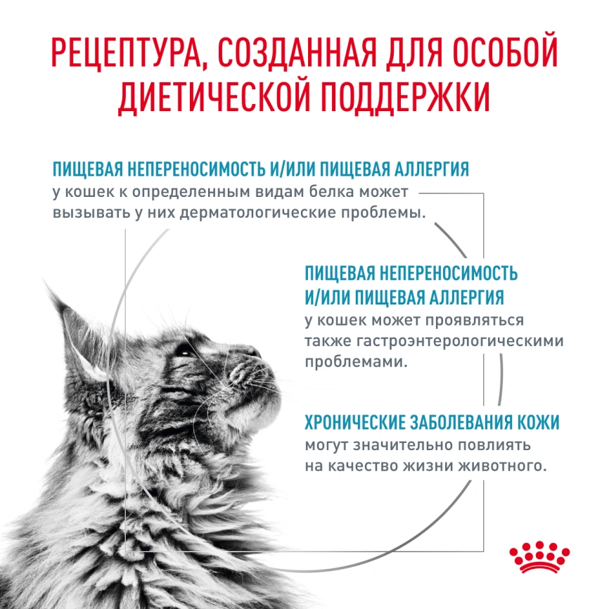 Сухой корм Royal Canin Hypoallergenic для кошек, 350 г фото 2
