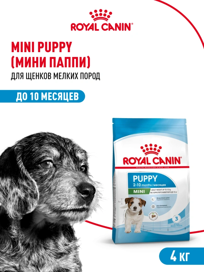 Сухой корм Royal Canin Mini Puppy для щенков, 4 кг фото 12