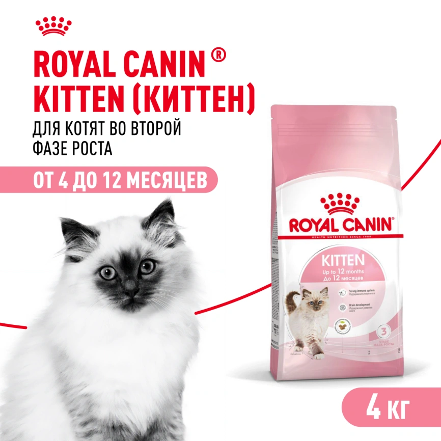 Сухой корм Royal Canin Kitten для котят, 4 кг фото 1