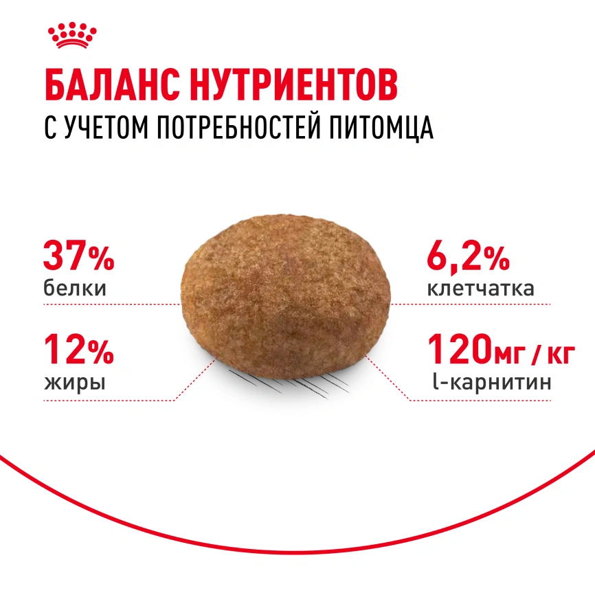 Сухой корм Royal Canin Sterilised для кастрированных котов и стерилизованных кошек, 2 кг фото 4