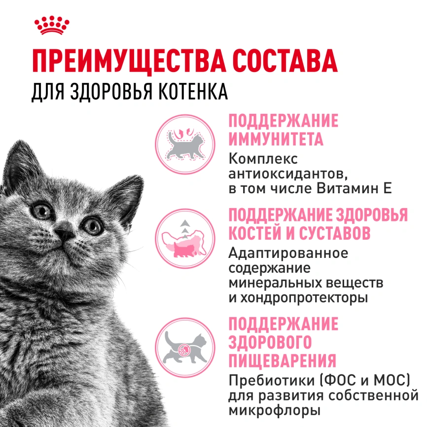 Сухой корм Royal Canin Kitten British Shorthair для котят, 2 кг фото 3