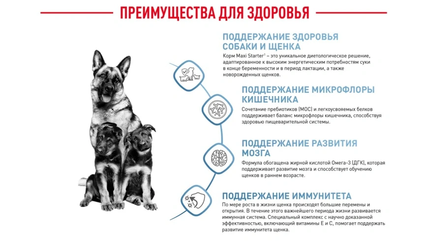 Сухой корм Royal Canin Maxi Starter Mother & Babydog для собак, 4 кг фото 5