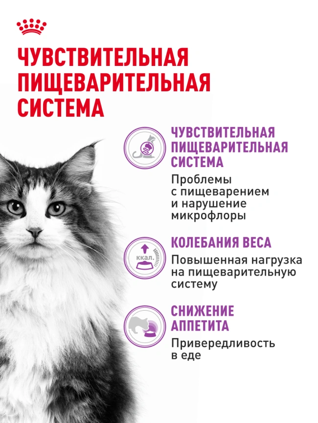 Сухой корм Royal Canin Sensible для кошек, 400 г фото 17