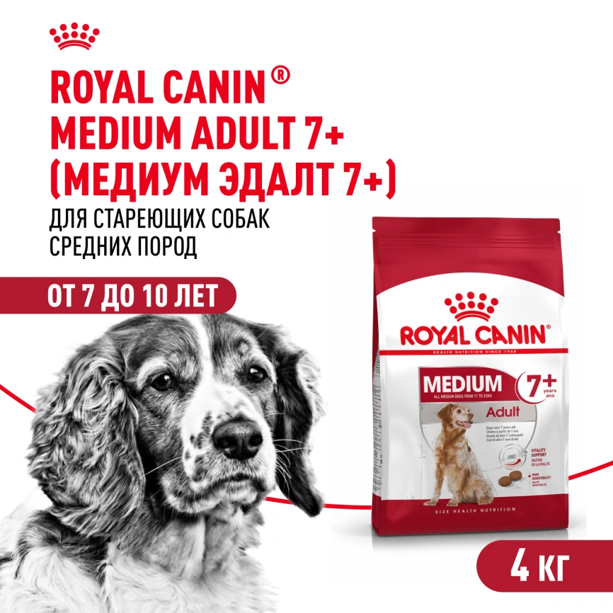 Сухой корм Royal Canin Medium Adult 7+ для собак, 4 кг фото 1