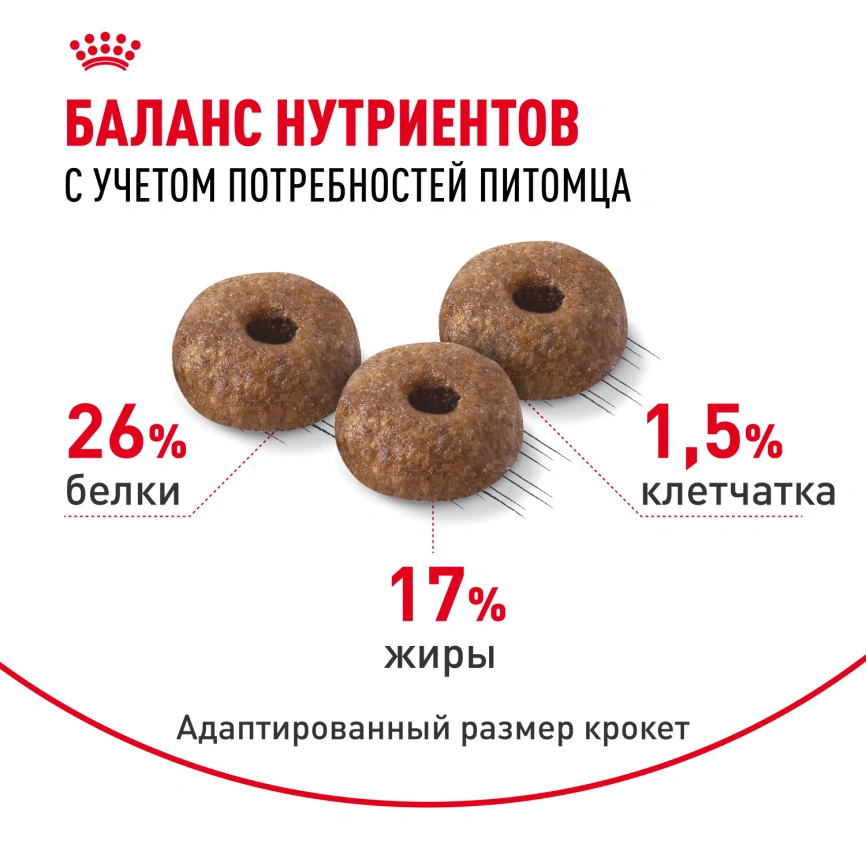 Сухой корм Royal Canin Mini Dermacomfort для собак, 1 кг фото 4