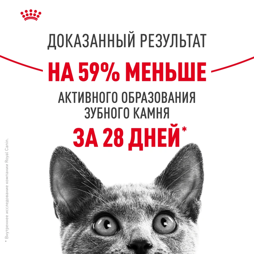 Сухой корм Royal Canin Dental Care для кошек, 1.5 кг фото 11