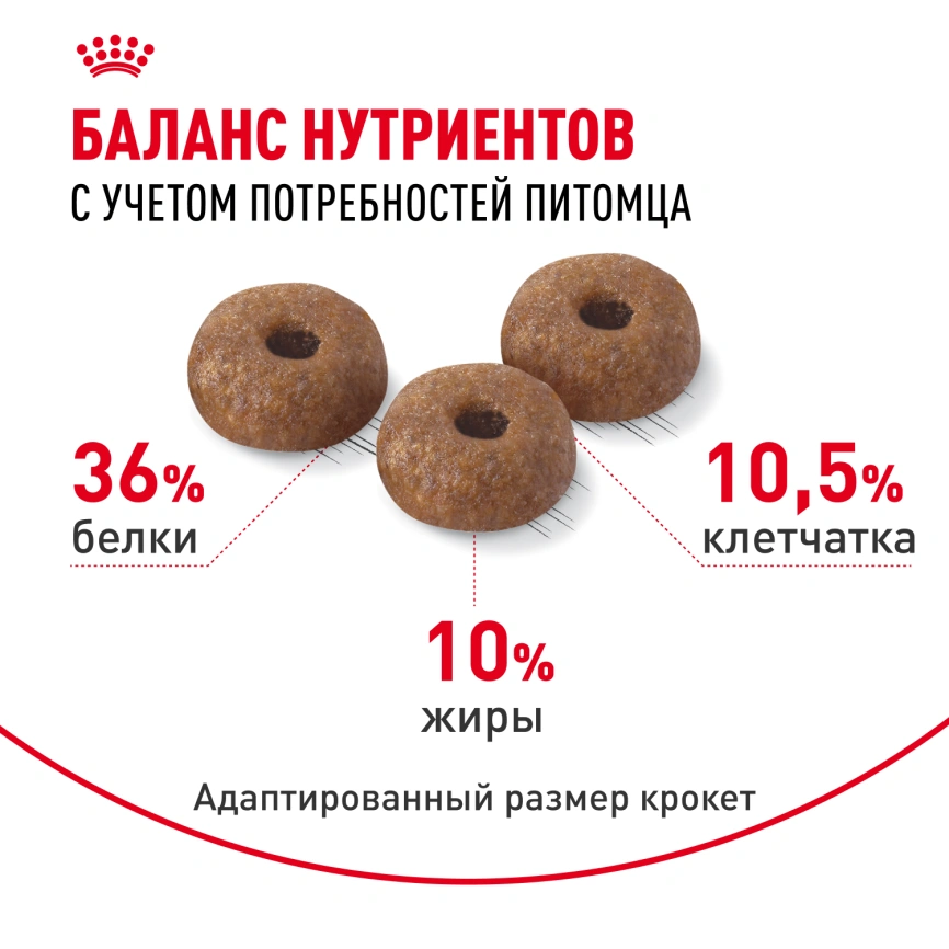 Сухой корм Royal Canin Light Weight Care для кошек, 8 кг фото 4