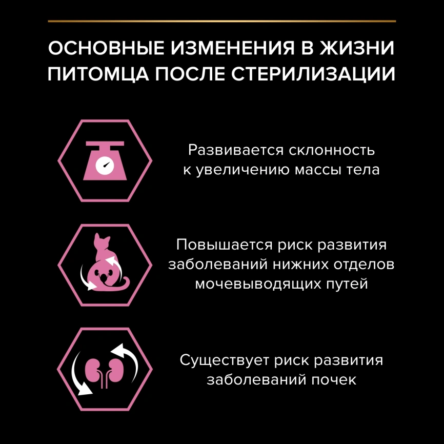 Сухой корм Purina Pro Plan Cat Adult Sterilised для стерилизованных кошек, с курицей, 3 кг фото 3