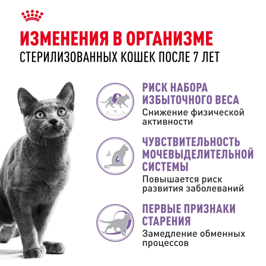 Сухой корм Royal Canin Sterilised 7+ для стерилизованных кошек и кастрированных котов, 1.5 кг фото 2