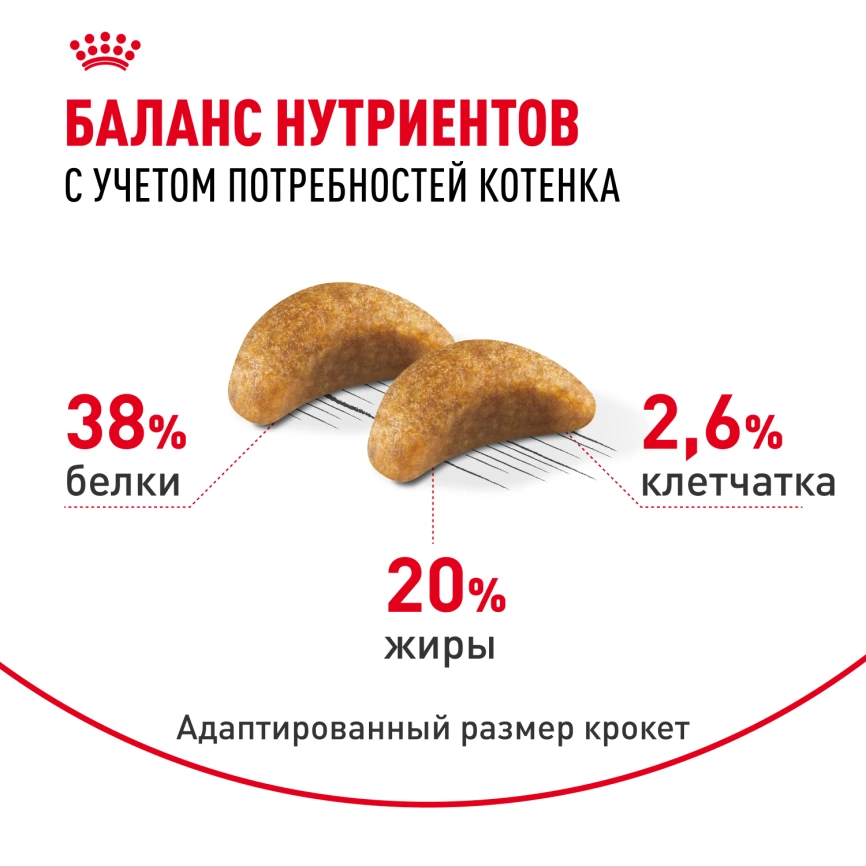 Сухой корм Royal Canin Kitten British Shorthair для котят, 2 кг фото 4