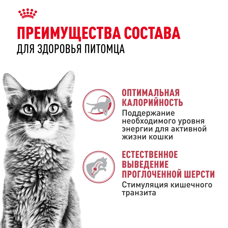 Сухой корм Royal Canin Fit для кошек, 2 кг фото 2