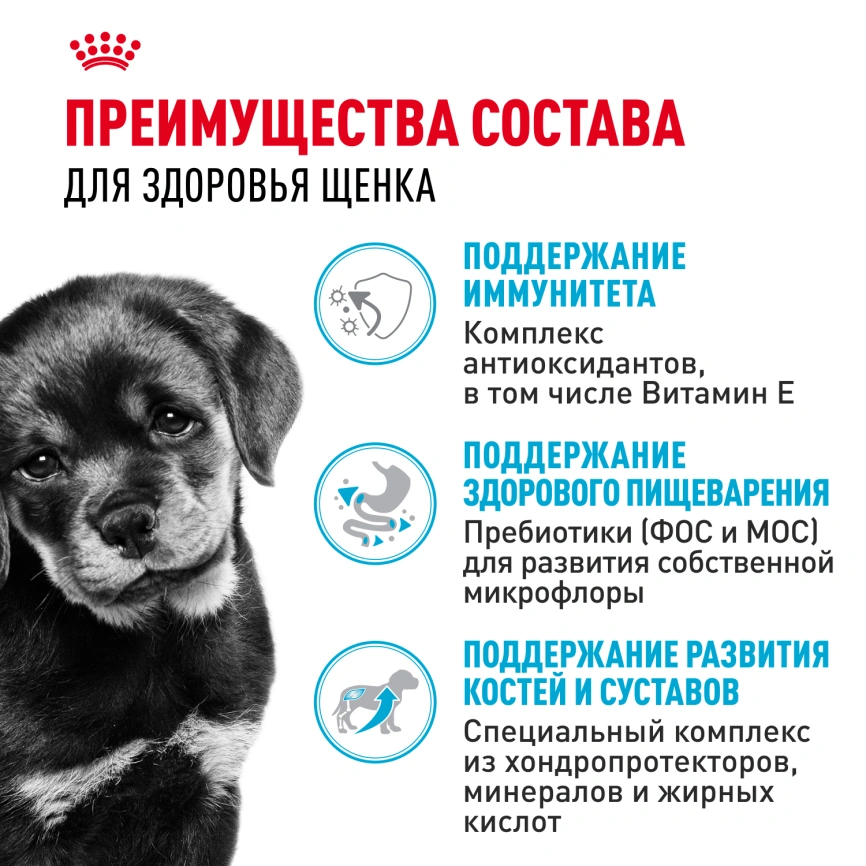 Сухой корм Royal Canin Rottweiler Puppy для щенков, 12 кг фото 3