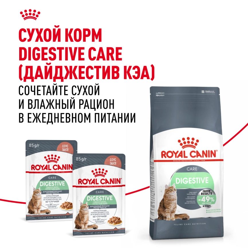 Влажный корм Royal Canin Digest Sensitive в соусе для улучшения пищеварения у взрослых кошек старше 1 года, пауч, 85 г фото 10