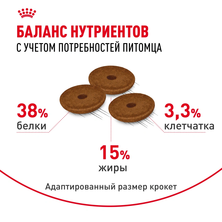 Сухой корм Royal Canin Digestive Care для кошек, 2 кг фото 4