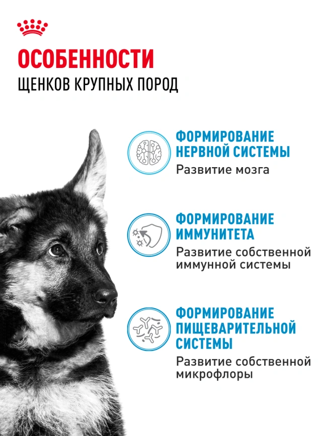 Сухой корм Royal Canin Maxi Puppy для щенков, 3 кг фото 19