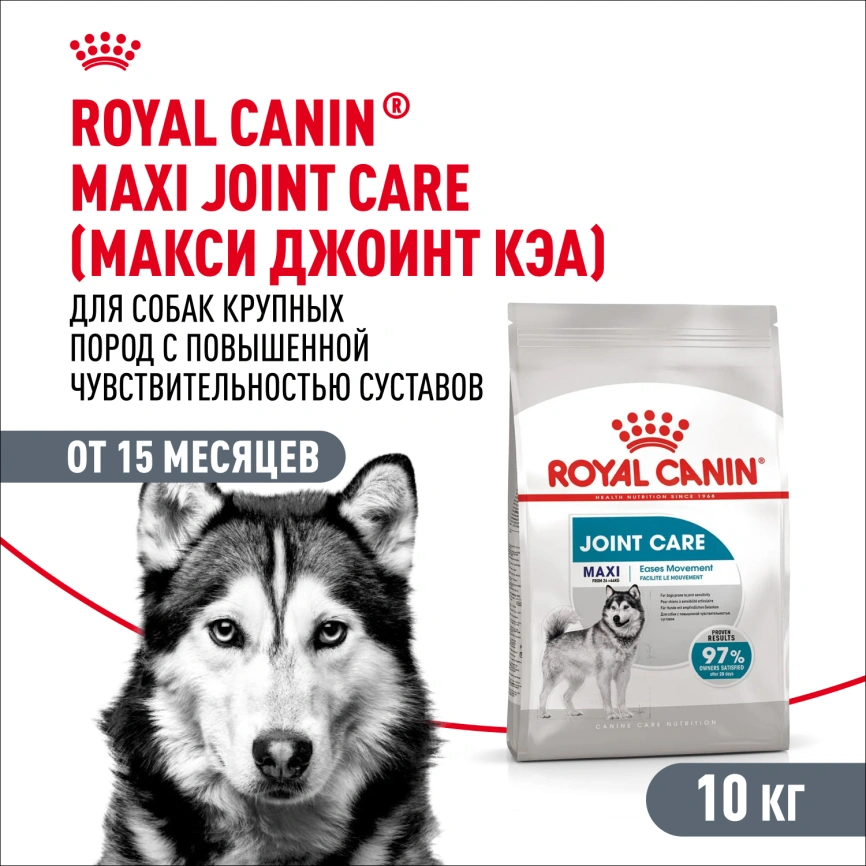 Сухой корм Royal Canin Maxi Joint Care для собак, 10 кг фото 1