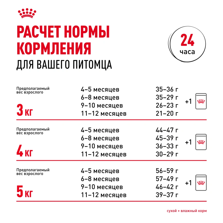 Сухой корм Royal Canin Kitten British Shorthair для котят, 10 кг фото 8