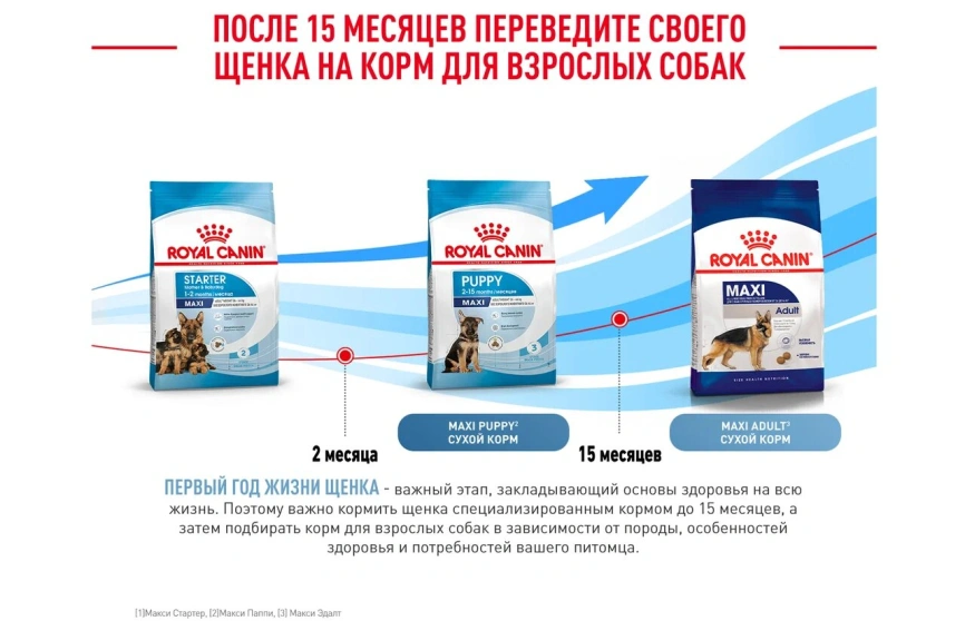Сухой корм Royal Canin Maxi Starter Mother & Babydog для собак, 4 кг фото 2