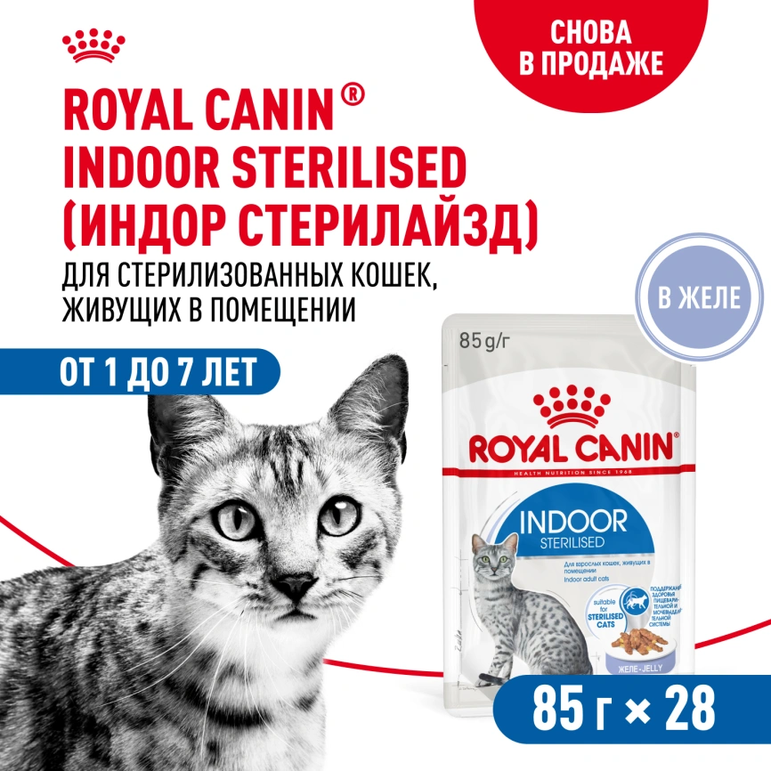 Влажный корм Royal Canin Indoor в желе для кошек, живущих в помещении, пауч, 85 г фото 13