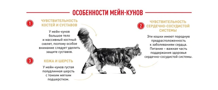 Сухой корм Royal Canin Maine Coon для кошек, 400 г фото 14