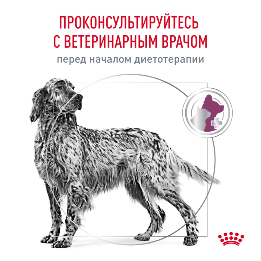 Сухой корм Royal Canin Renal для кошек при заболеваниях почек, 14 кг фото 7