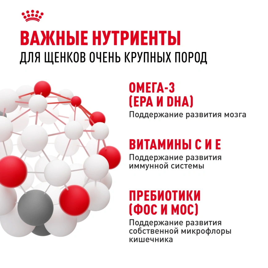 Сухой корм Royal Canin Giant Puppy для щенков, 15 кг фото 5
