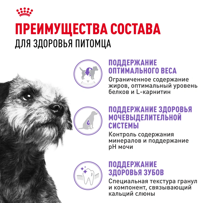 Сухой корм Royal Canin Mini Sterilised для стерилизованных собак, 3 кг фото 3