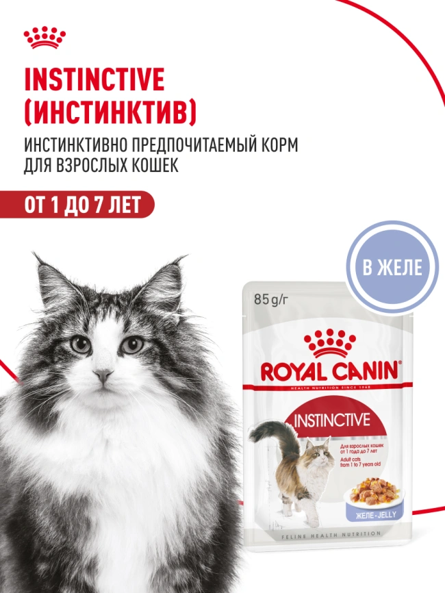 Влажный корм Royal Canin Instinctive в желе для взрослых кошек старше 1 года, пауч, 85 г фото 15