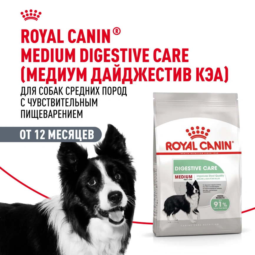 Сухой корм Royal Canin Medium Digestive Care для собак, 3 кг фото 12