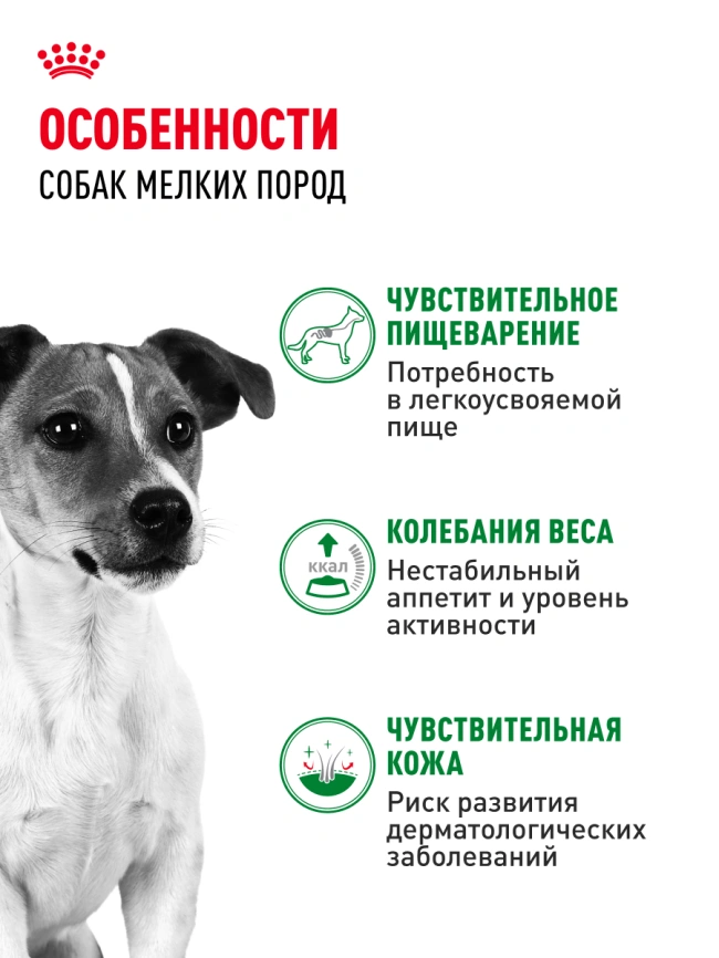 Влажный корм Royal Canin Mini Adult в соусе для взрослых собак мелких пород старше 10 месяцев, пауч, 85 г фото 2