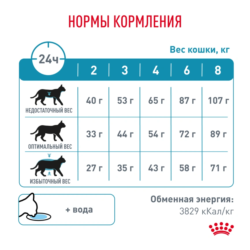 Сухой корм Royal Canin Skin & Coat для кошек, 350 г фото 4