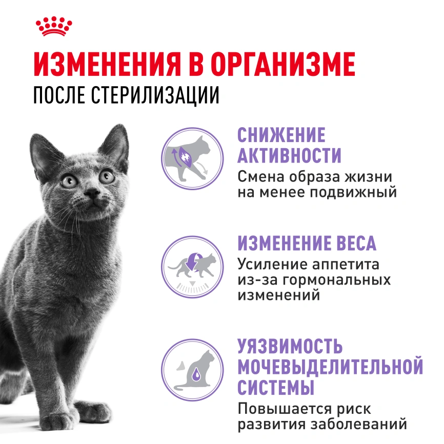 Сухой корм Royal Canin Sterilised для кастрированных котов и стерилизованных кошек, 400 г фото 9