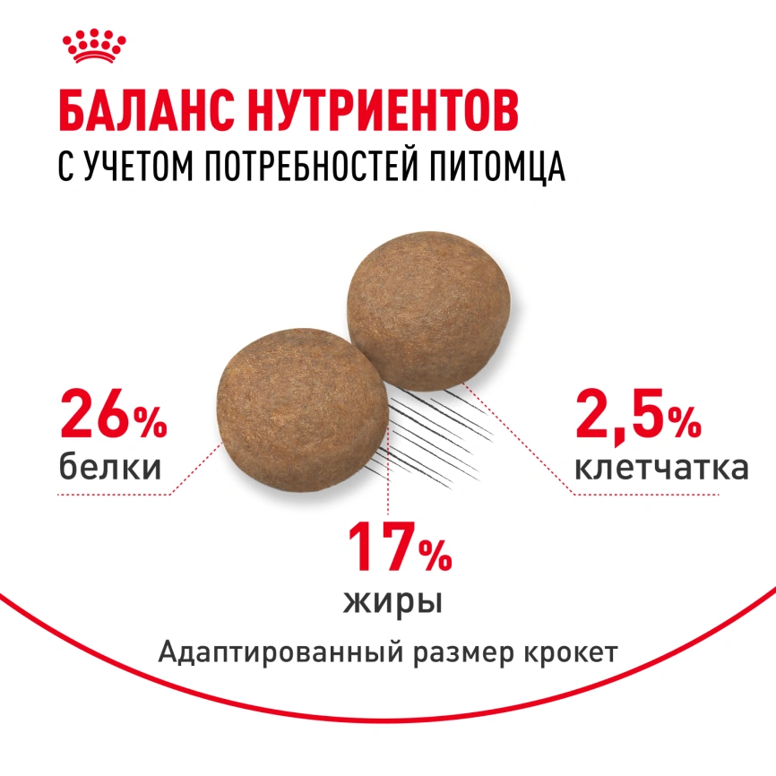 Сухой корм Royal Canin Maxi Adult 5+ для собак, 15 кг фото 4