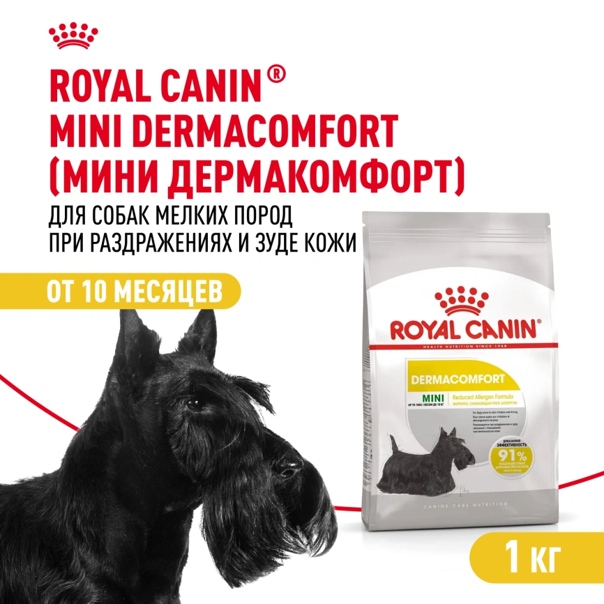 Сухой корм Royal Canin Mini Dermacomfort для собак, 1 кг фото 1
