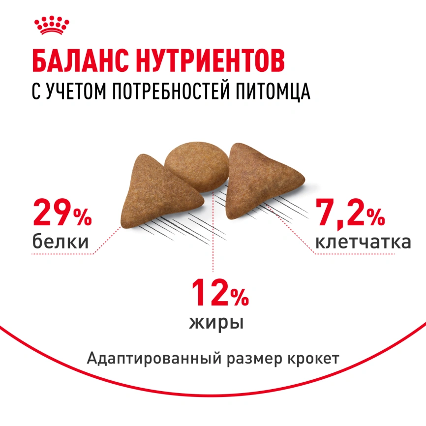 Сухой корм Royal Canin Indoor Appetite Control для кошек, 2 кг фото 4
