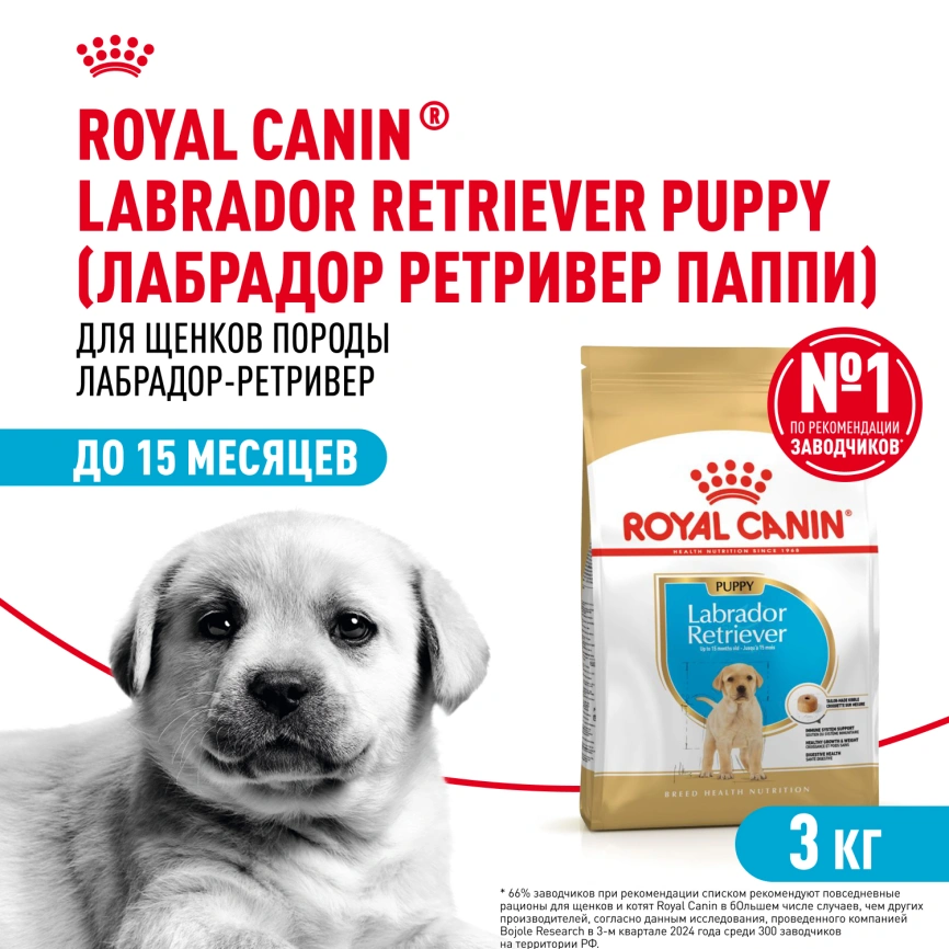 Сухой корм Royal Canin Labrador Retriever Puppy для щенков, 3 кг фото 1