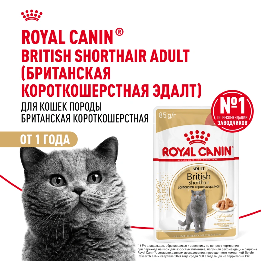 Влажный корм Royal Canin British Shorthair в соусе для кошек породы британская короткошерстная и шотландская вислоухая старше 1 года, пауч, 85 г фото 14