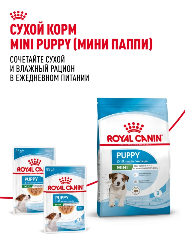 Влажный корм Royal Canin Mini Puppy в соусе для щенков мелких пород до 10 месяцев, пауч, 85 г фото 19
