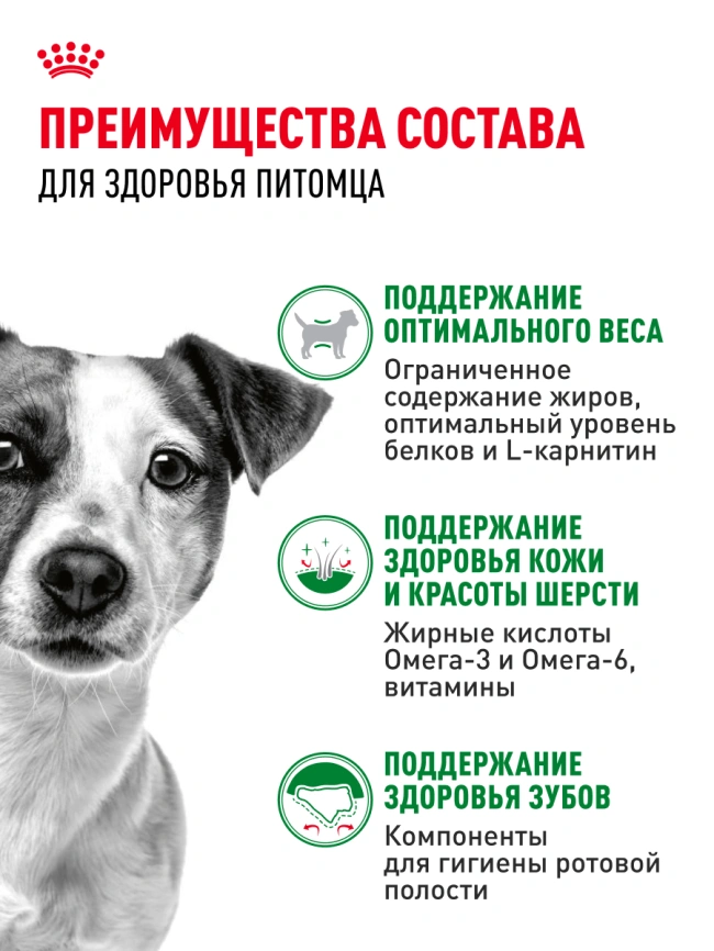 Сухой корм Royal Canin Mini Adult для взрослых собак, 4 кг фото 17