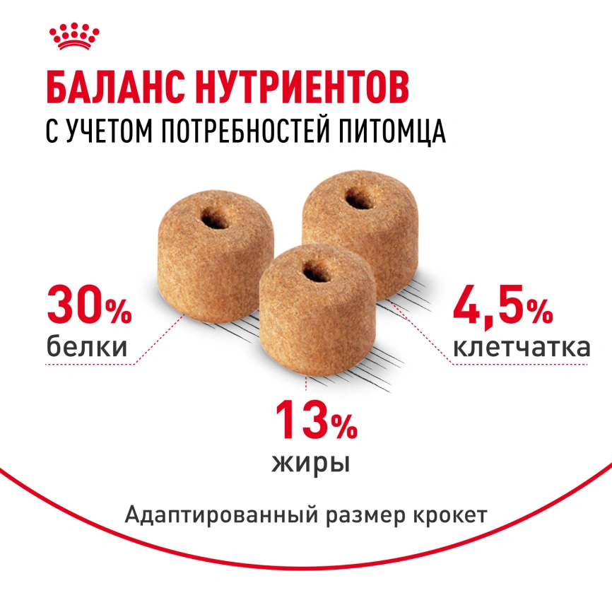 Сухой корм Royal Canin Labrador Retriever Adult для собак, 3 кг фото 4