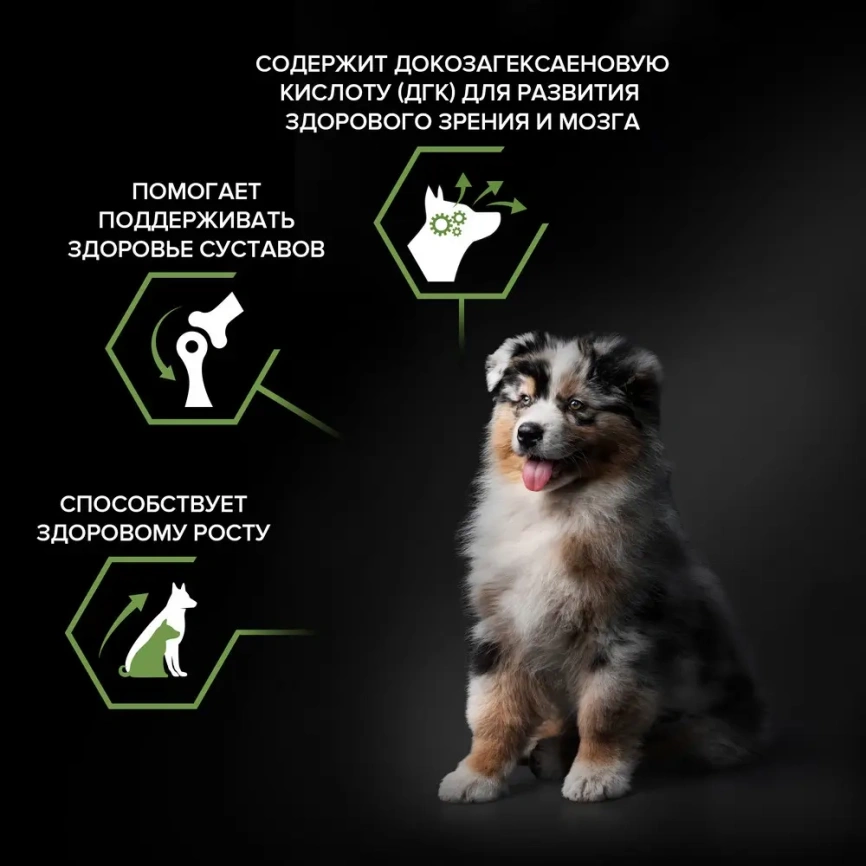 Сухой корм PRO PLAN Chicken для щенков средних пород, с высоким содержанием курицы, 18 кг фото 2