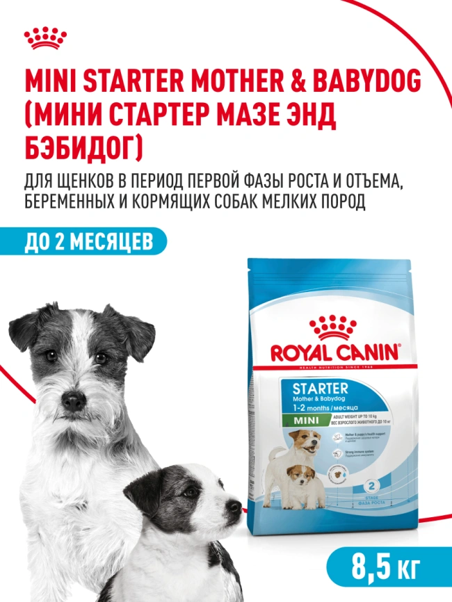 Сухой корм Royal Canin Mini Starter Mother & Babydog для щенков и кормящих сук, 8.5 кг фото 14
