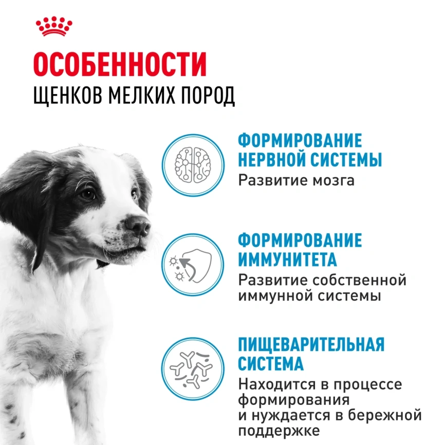 Влажный корм Royal Canin Medium Puppy для щенков средних пород в соусе, 100 г фото 2