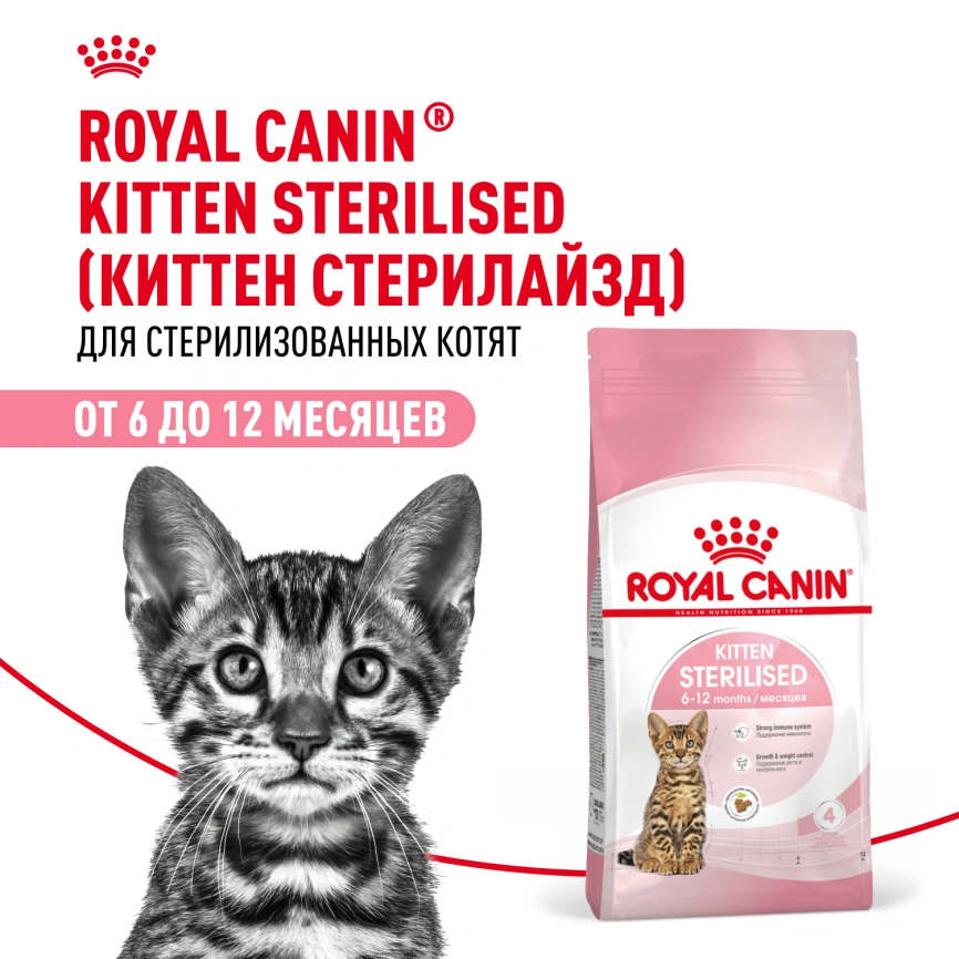 Сухой корм Royal Canin Kitten Sterilised для котят, 3.5 кг фото 12
